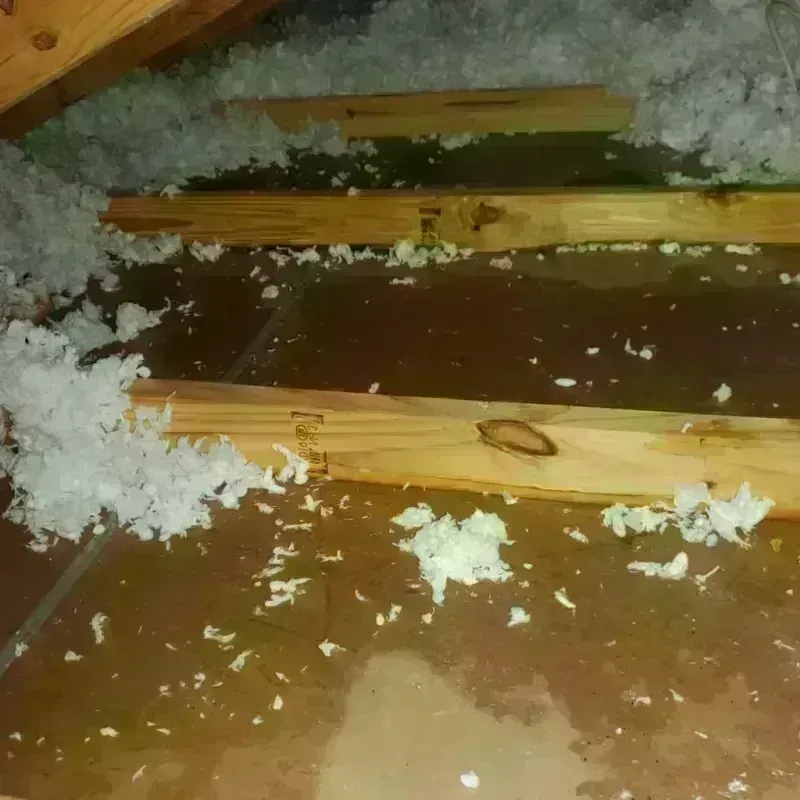 Attic Water Damage in Linn County, OR