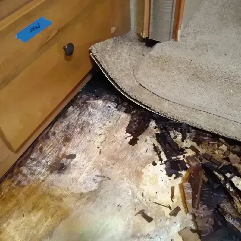 Wood Floor Water Damage in Linn County, OR